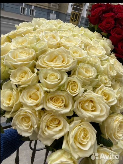 Цветы розы и букеты с доставкой