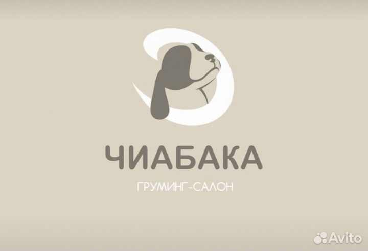 Администратор в груминг салон