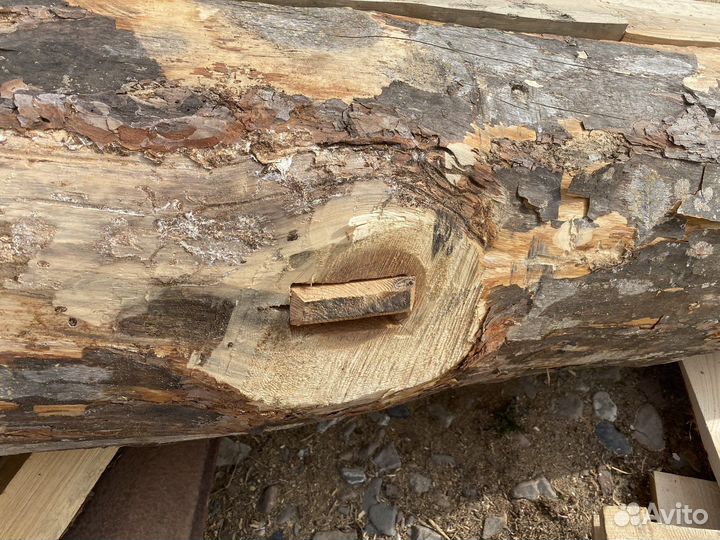 Колода для пчел