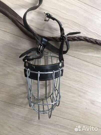 Намордник, поводок