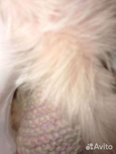 Шапка натуральный мех