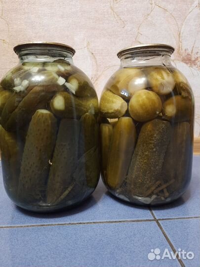 Огурцы домашние