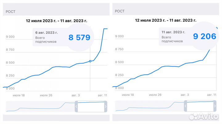 Таргетолог Telegram