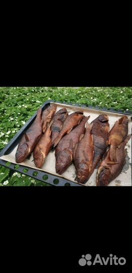 Казан мангал