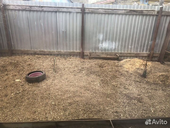 Навоз бесплатно самовывоз