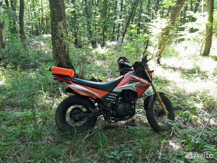 Racer forester 200
