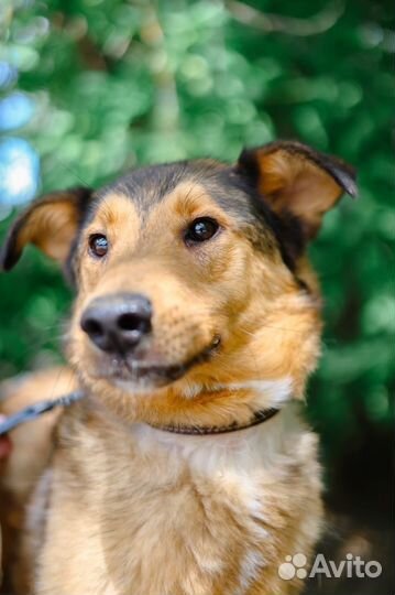 Разве он заслужил всю жизнь просидеть в клетке