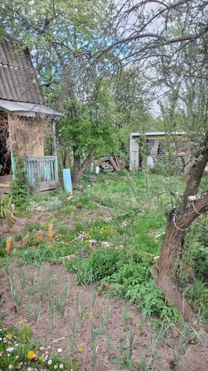 Дом 25 м² на участке 3 сот.