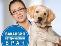 вакансия администратор медицинского центра. свободная вакансия в клинике. требуется процедурная медсестра. водитель курьер. клиника вера свободный.