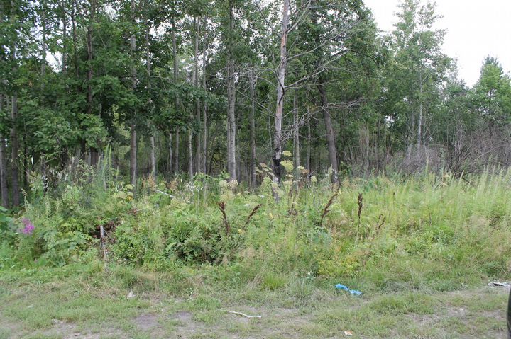 Участок 50 га (СНТ, ДНП)