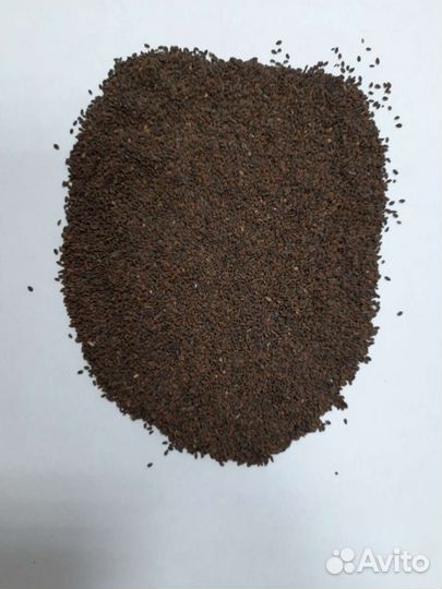 Семена фацелии