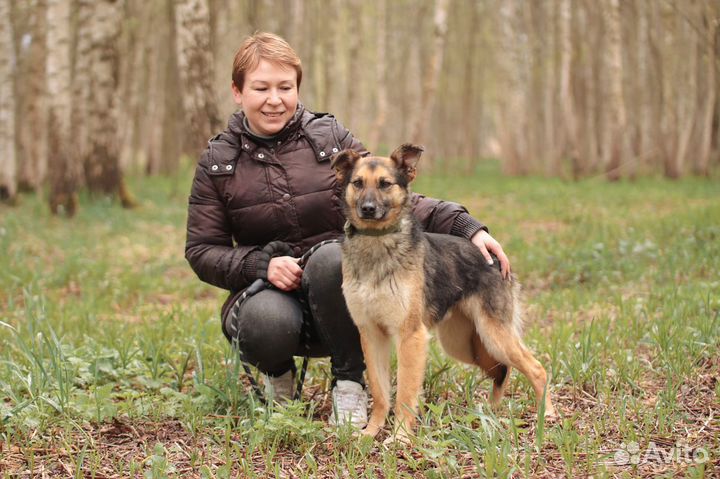 Собака в дар