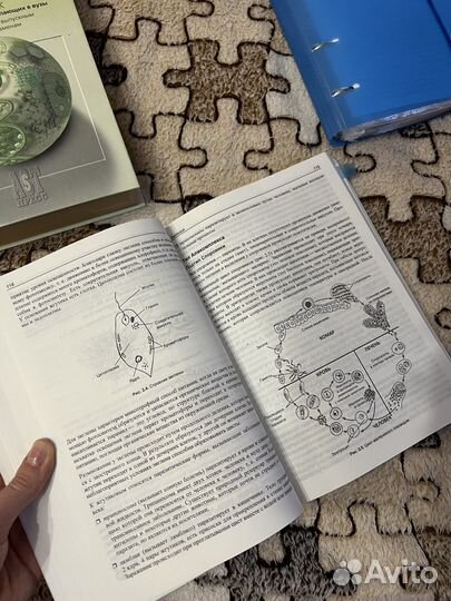 Для подготовки к егэ по биологии и химии