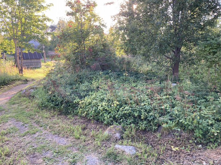 Участок 15 сот. (ИЖС)