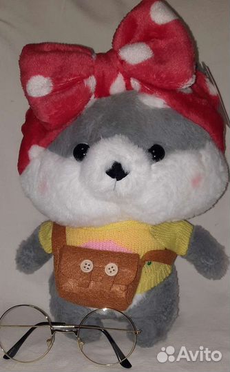 Собака лалафанфан, все собачки с очками