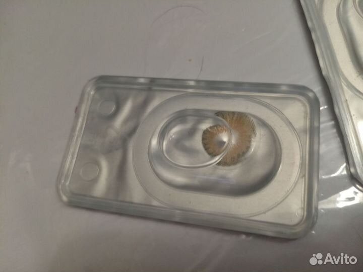 Цветные линзы без диоптрий