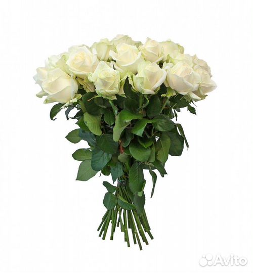 Роза срезка собственного производства 14 сортов