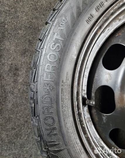 Gislaved NordFrost 100 195/55 R16