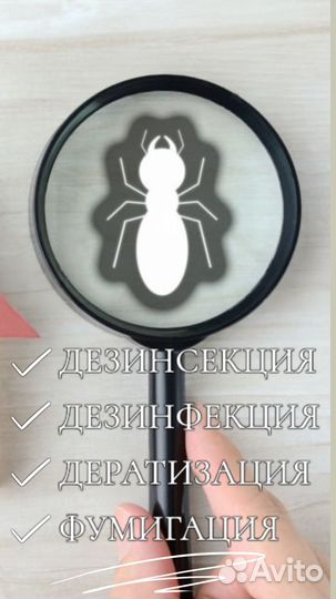 Дезинфекция