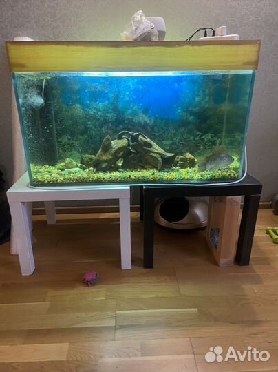 Аквариум