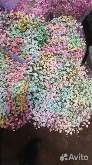 Гипсофила букет цветы