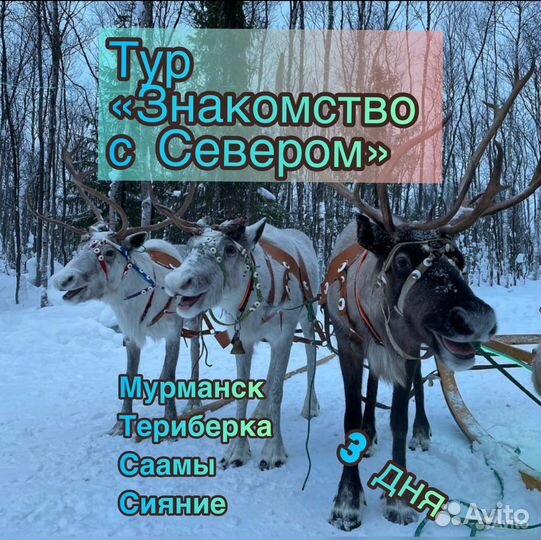 Тур из Мурманска 