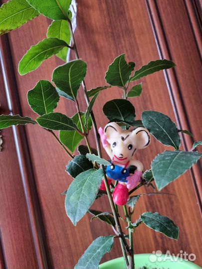 Резиновый Микки Маус гдр времен СССР