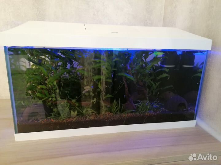 Аквариум