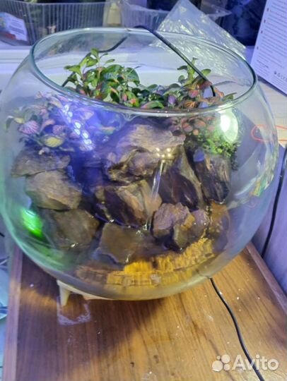Флорариум с водопадом