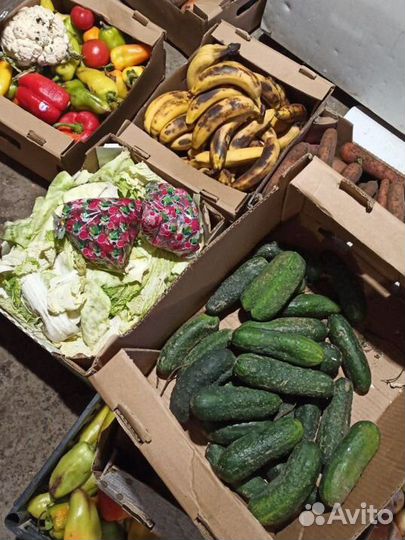 Овощи, фрукты