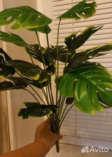 Искуственные растения