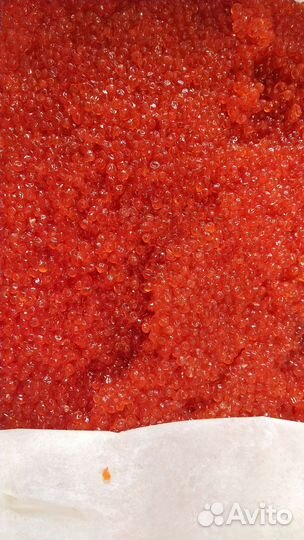 Красная икра Кижуч Камчатская 2023