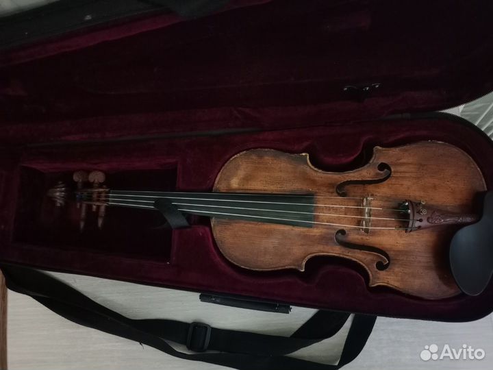 Скрипка (размер 7/8)