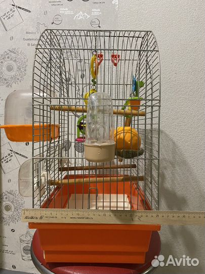 Клетка для волнистого попугая
