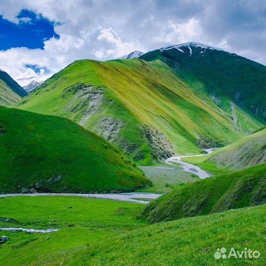 Горячие путевки в Абхазию и Египет