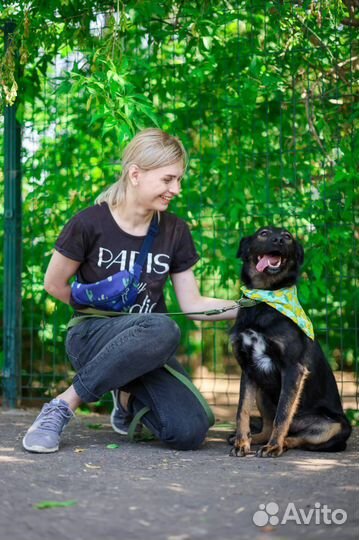 Вите надо выйти на остановке 