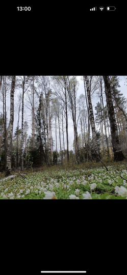 Участок 9,4 сот. (ИЖС)