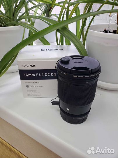 Sigma AF 16mm f/1.4 DC DN Sony E