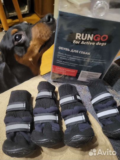 Ботиночки для собак