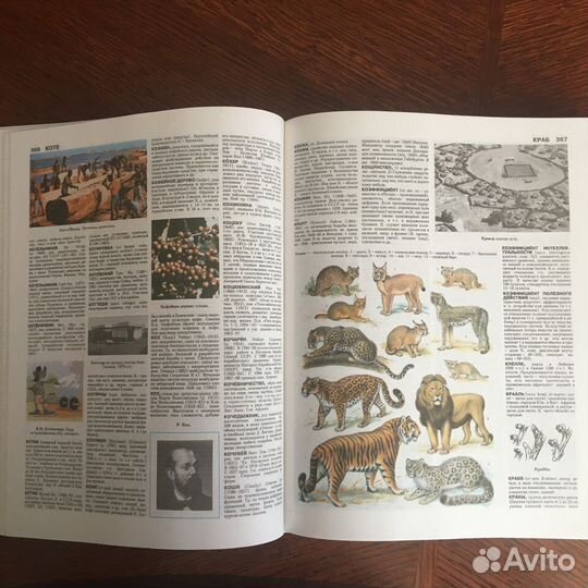 Иллюстрированный энциклопедический словарь