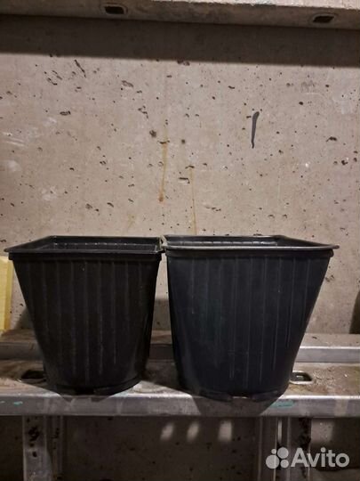 Горшки для рассады бу