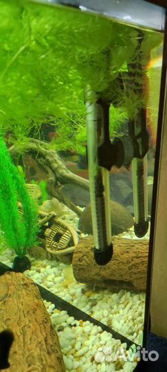 Аквариум с рыбками