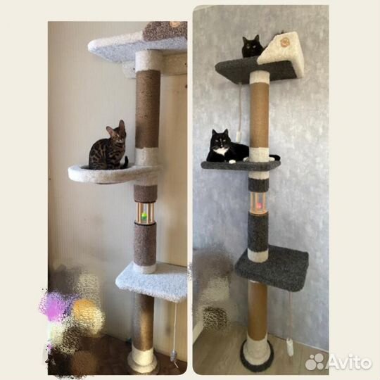 Когтеточка для кошек