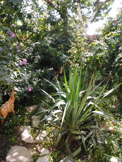 Комната 20 м² в 2-к., 2/2 эт.