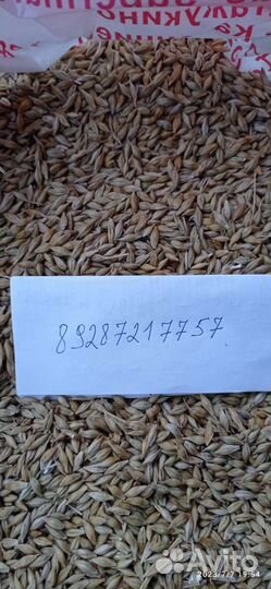 Ячмень с доставкой