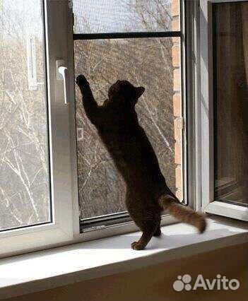 Москитные сетки Антикошка Антимошка