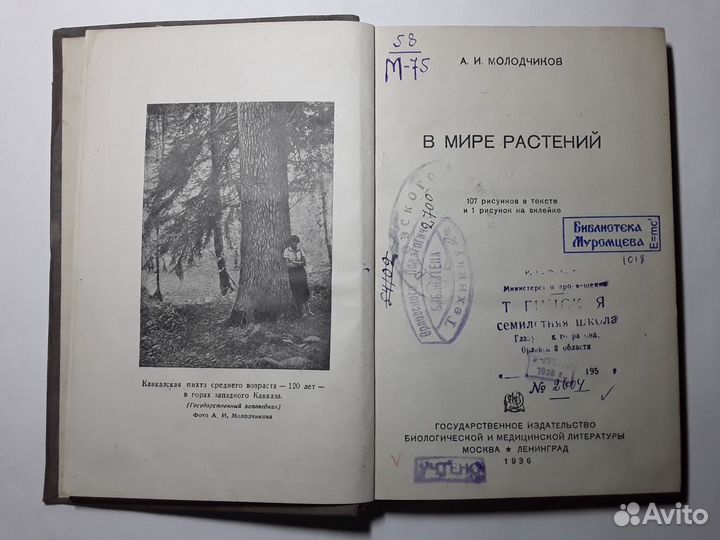 В мире растений