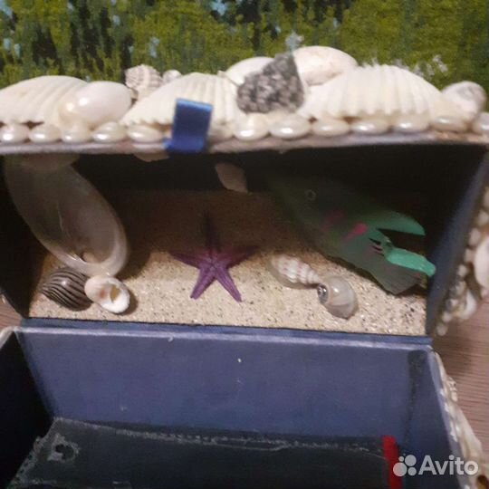 Отдам шкатулку из ракушек