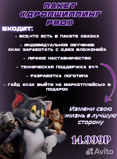 Готовый бизнес дропшипп