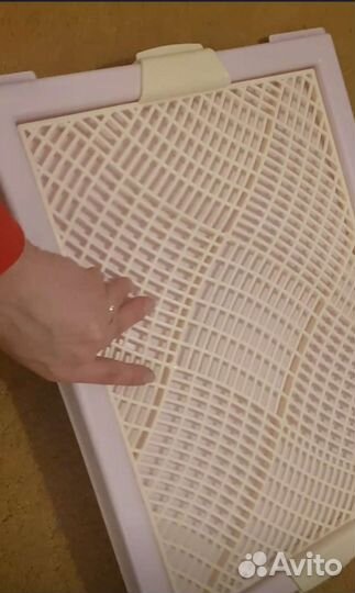 Лоток туалет для собак